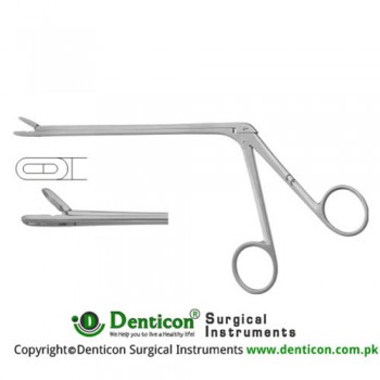 Leminectomy Rongeur Straight - Fenestrated and Serrated Jaws Stainless Steel, 15.5 cm - 6" Bite Size 5 x 14 mm 